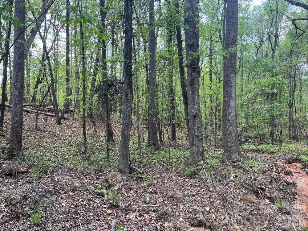 623 Mystic Way Lane Waxhaw, NC 28173
