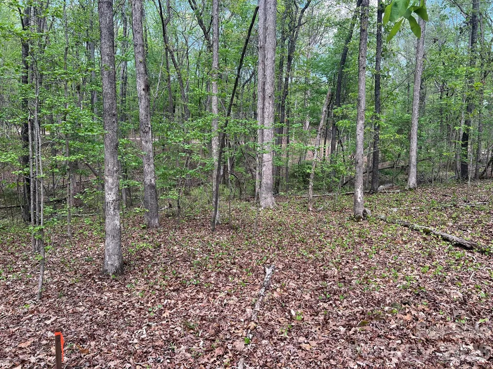 623 Mystic Way Lane Waxhaw, NC 28173