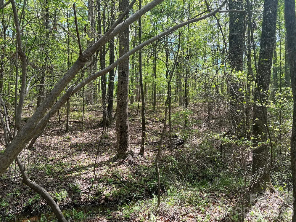 623 Mystic Way Lane Waxhaw, NC 28173
