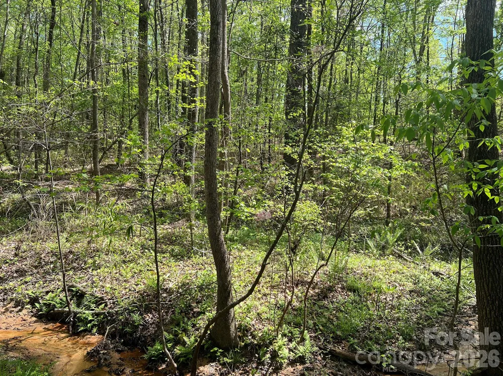 623 Mystic Way Lane Waxhaw, NC 28173