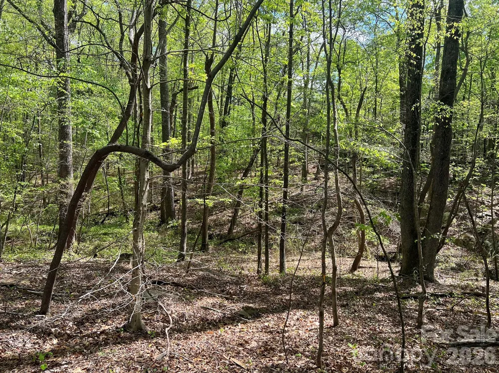 623 Mystic Way Lane Waxhaw, NC 28173