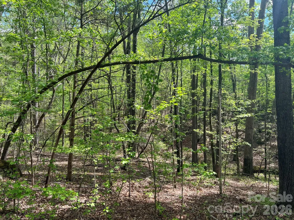 623 Mystic Way Lane Waxhaw, NC 28173