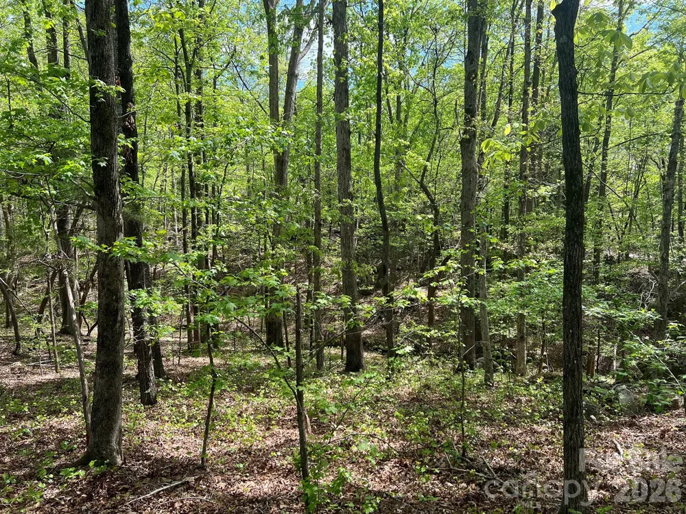 623 Mystic Way Lane Waxhaw, NC 28173