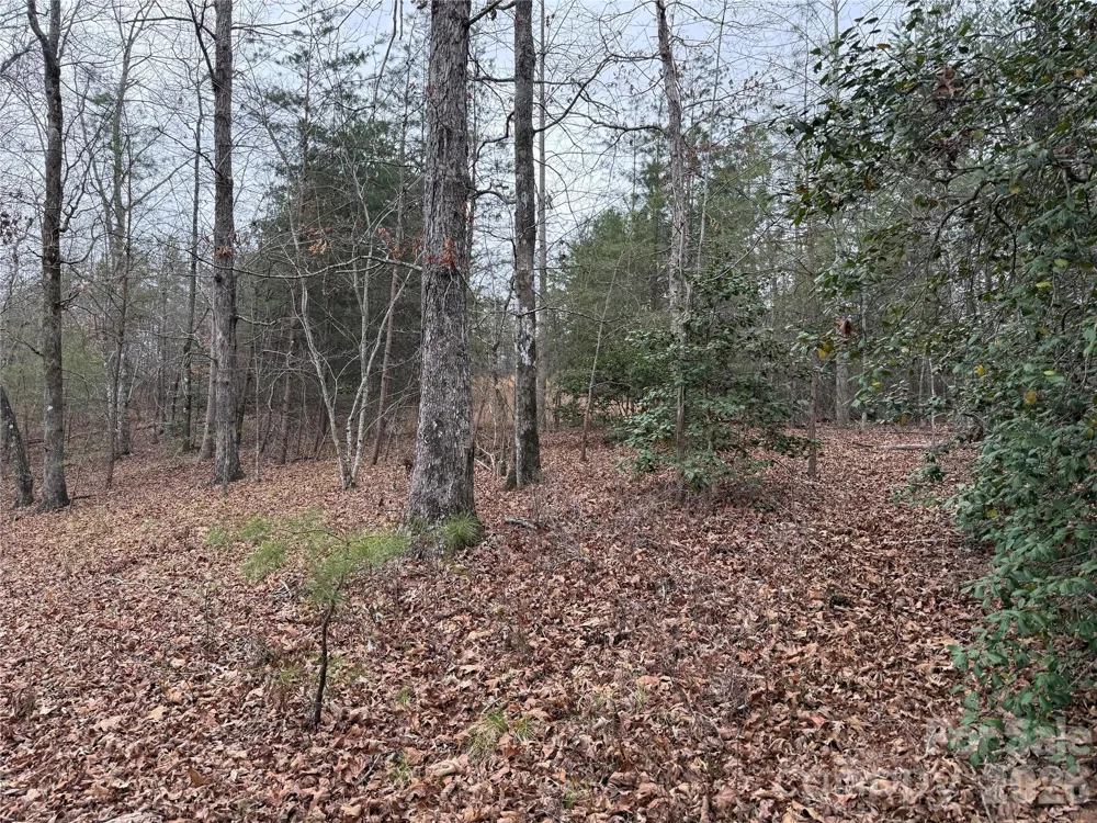 0 Shady Bark Lane #40 Rutherfordton, NC 28139