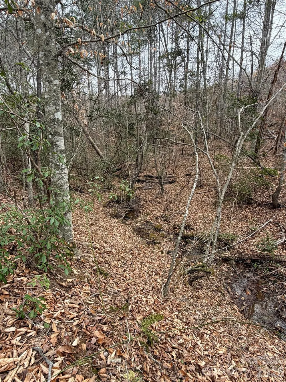 0 Shady Bark Lane #40 Rutherfordton, NC 28139