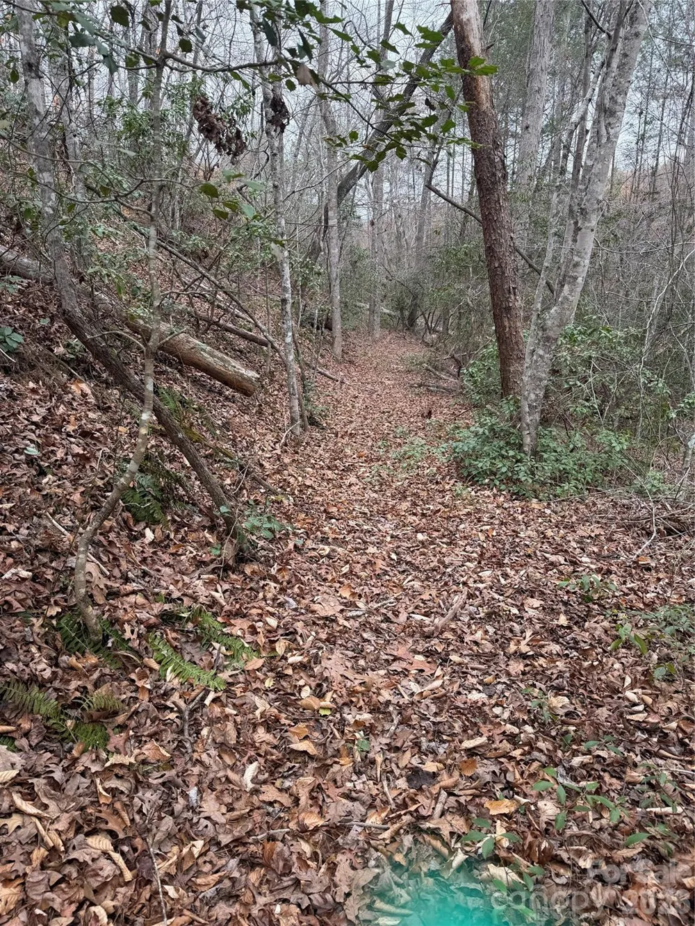 0 Shady Bark Lane #40 Rutherfordton, NC 28139