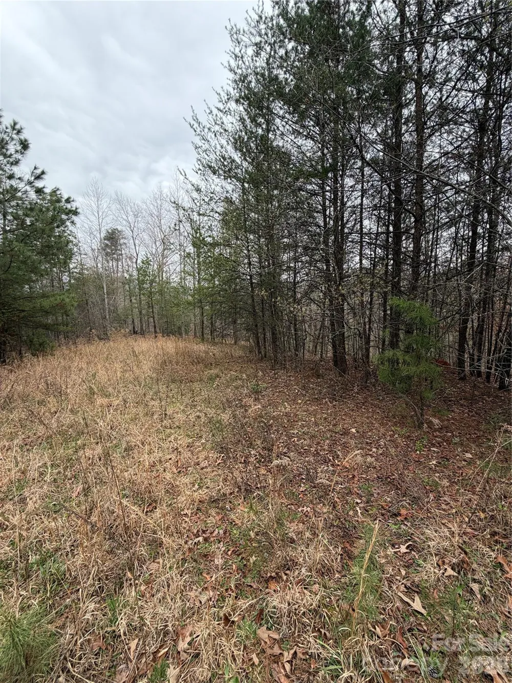 0 Shady Bark Lane #40 Rutherfordton, NC 28139