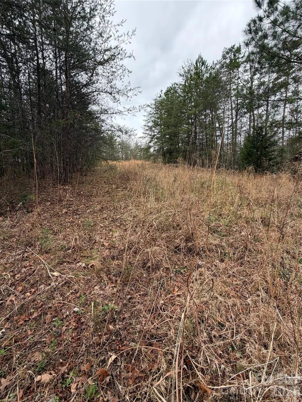 0 Shady Bark Lane #40 Rutherfordton, NC 28139