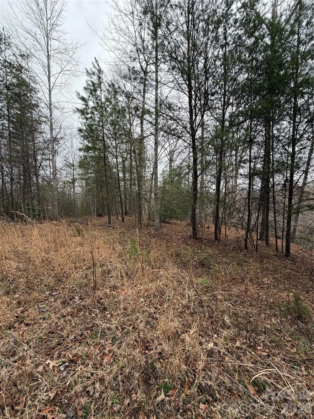 0 Shady Bark Lane #40 Rutherfordton, NC 28139