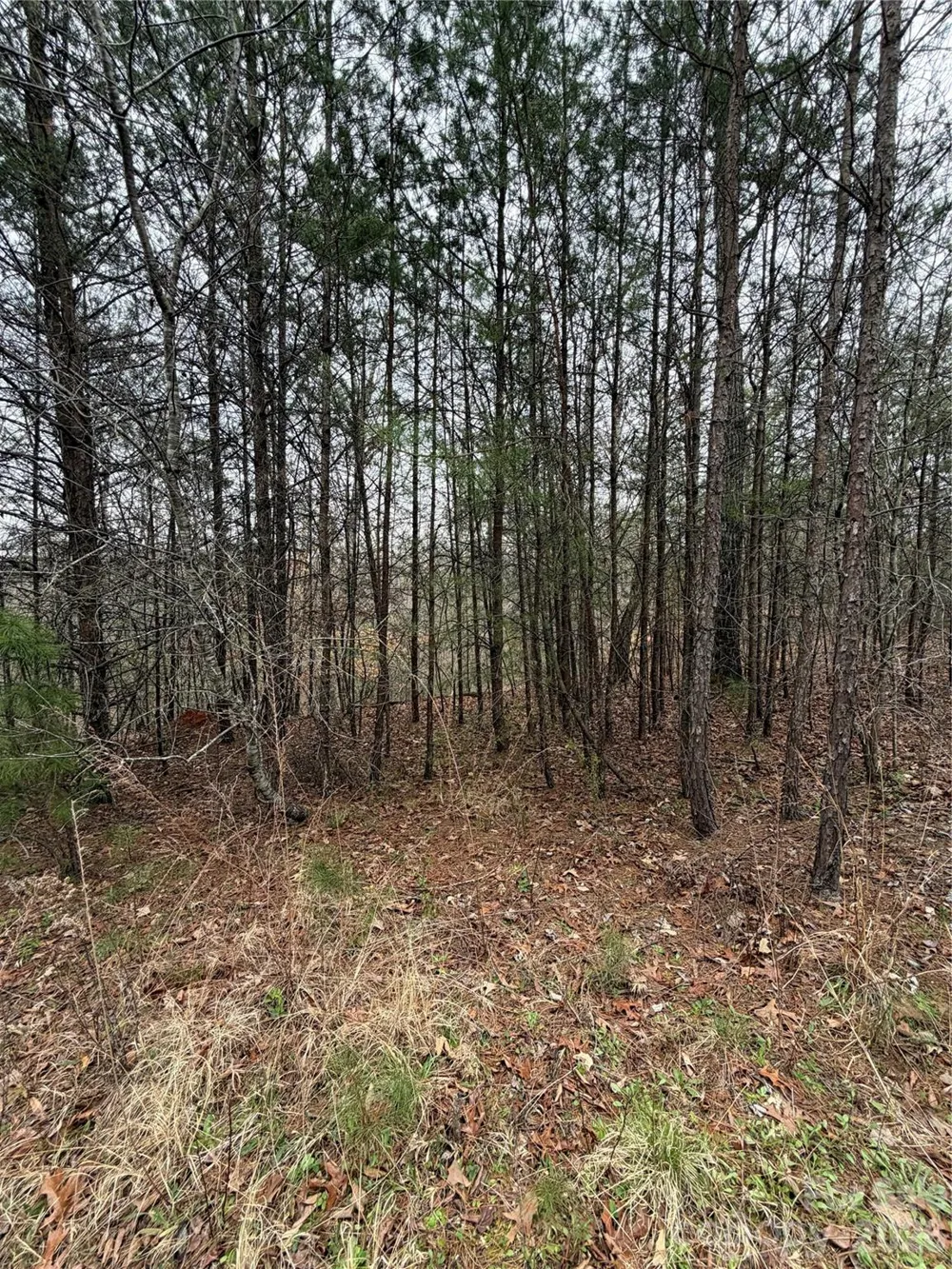 0 Shady Bark Lane #40 Rutherfordton, NC 28139