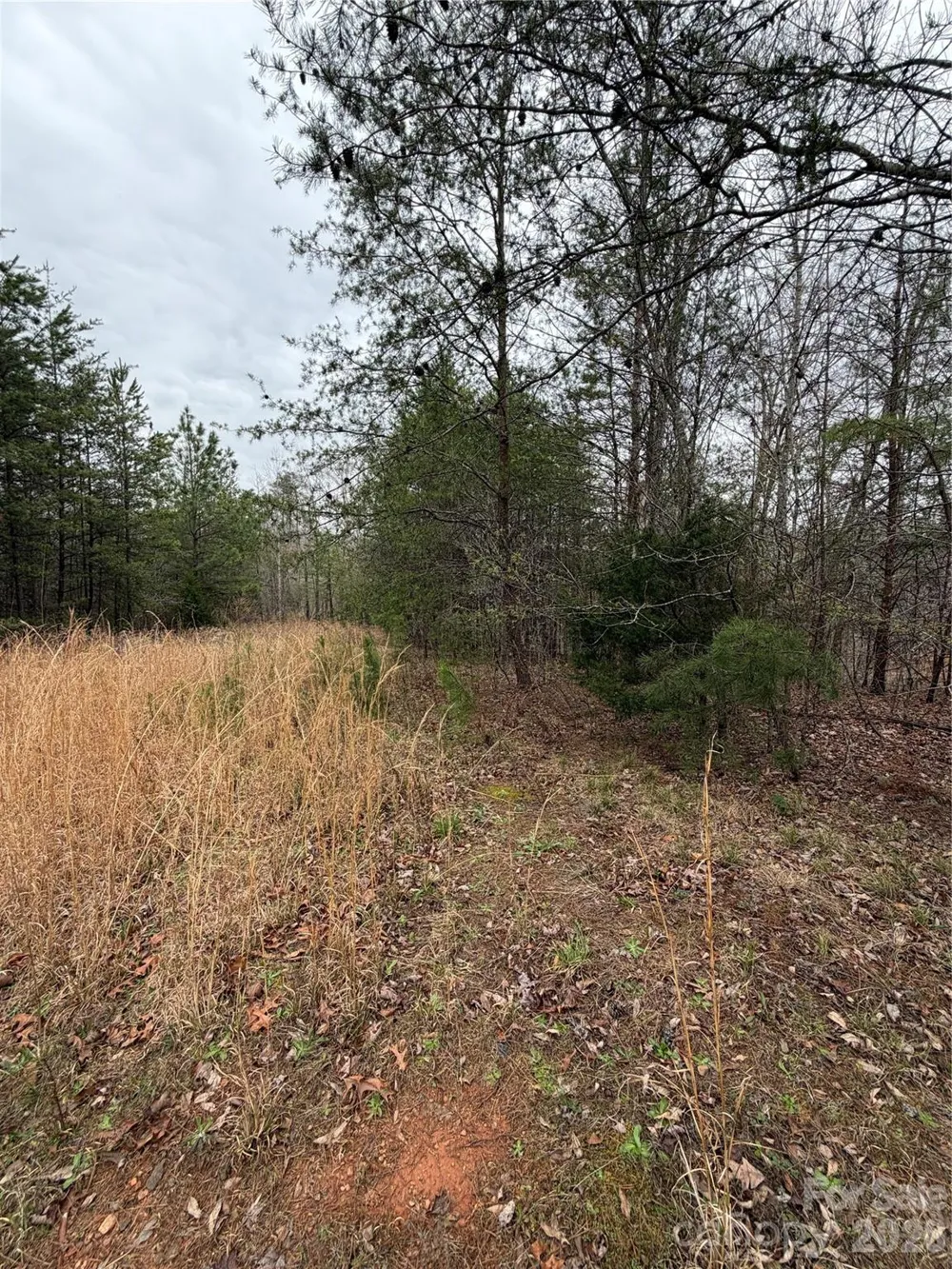 0 Shady Bark Lane #40 Rutherfordton, NC 28139