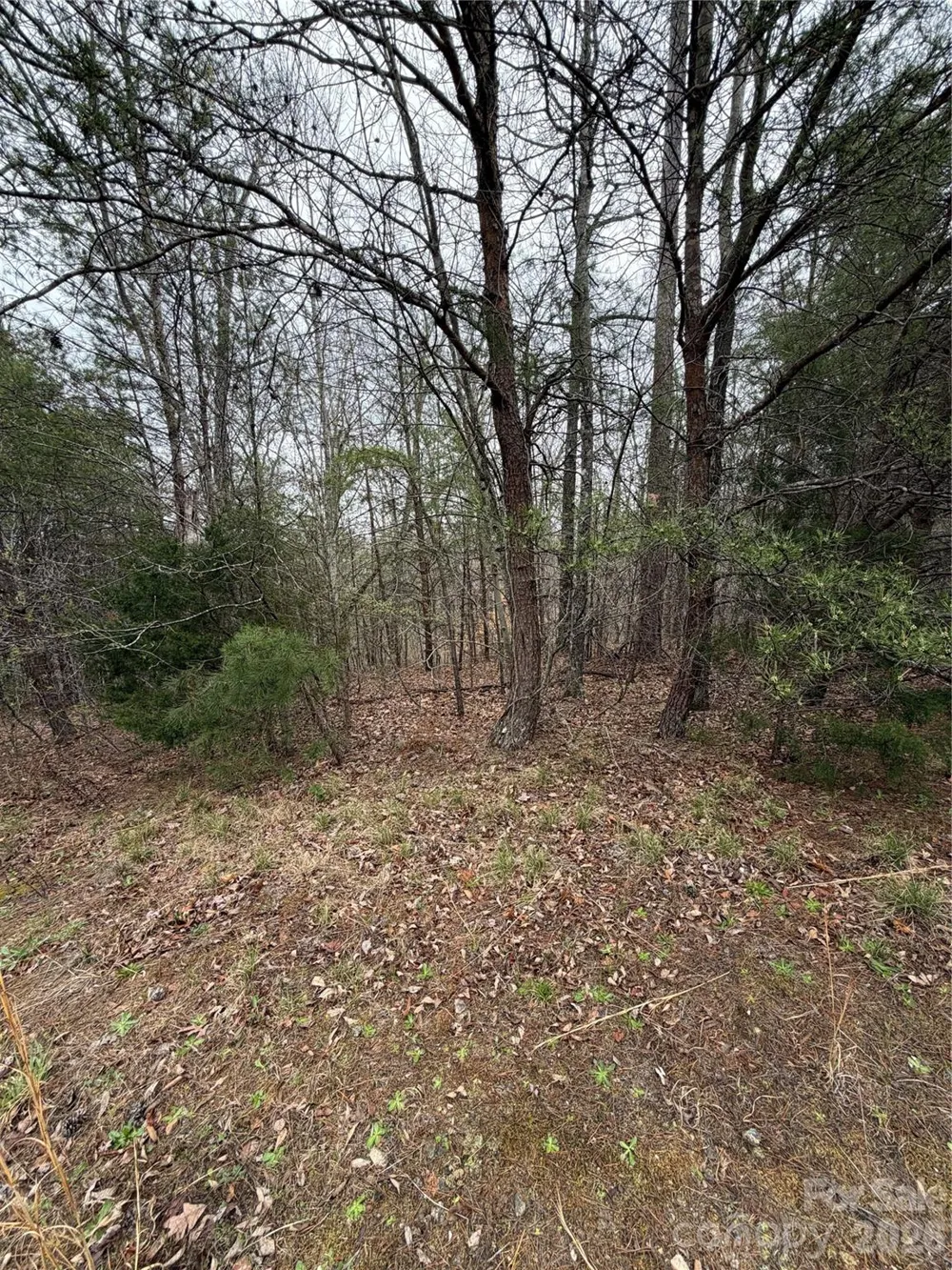0 Shady Bark Lane #40 Rutherfordton, NC 28139