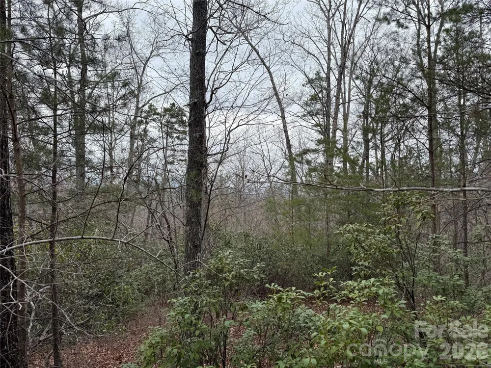 0 Shady Bark Lane #40 Rutherfordton, NC 28139