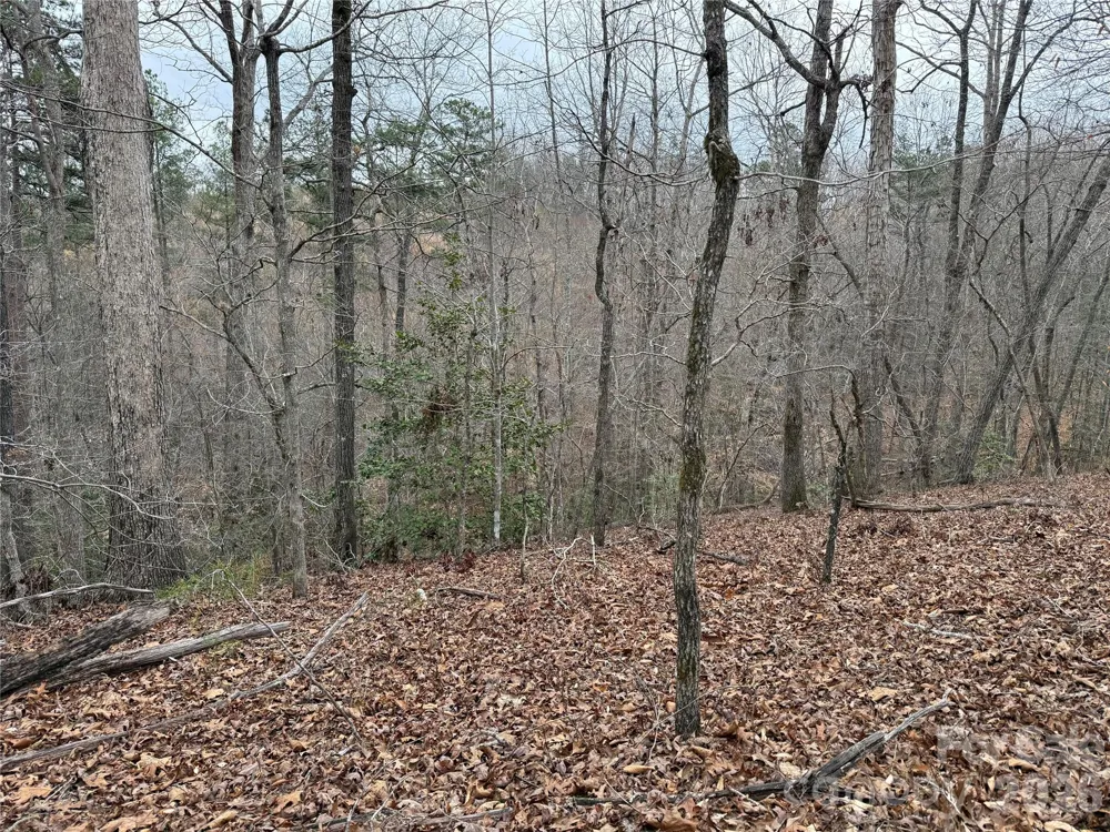 0 Shady Bark Lane #40 Rutherfordton, NC 28139