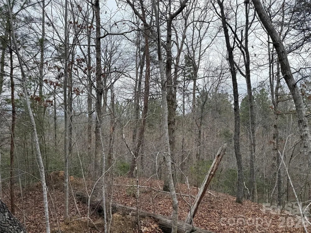 0 Shady Bark Lane #40 Rutherfordton, NC 28139