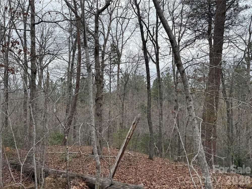 0 Shady Bark Lane #40 Rutherfordton, NC 28139