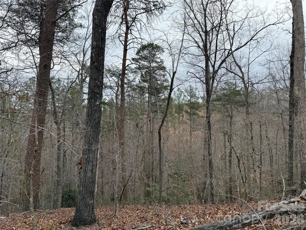 0 Shady Bark Lane #40 Rutherfordton, NC 28139