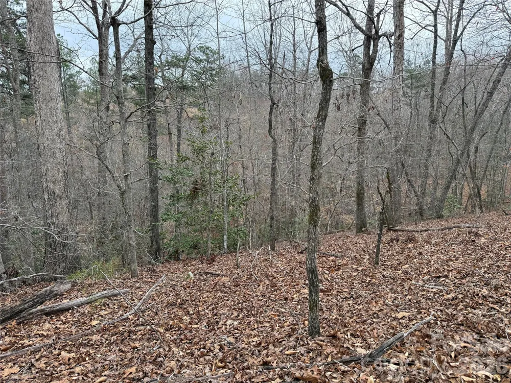 0 Shady Bark Lane #40 Rutherfordton, NC 28139