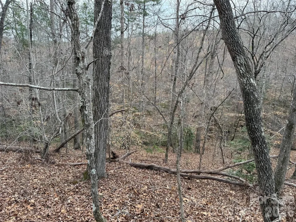 0 Shady Bark Lane #40 Rutherfordton, NC 28139