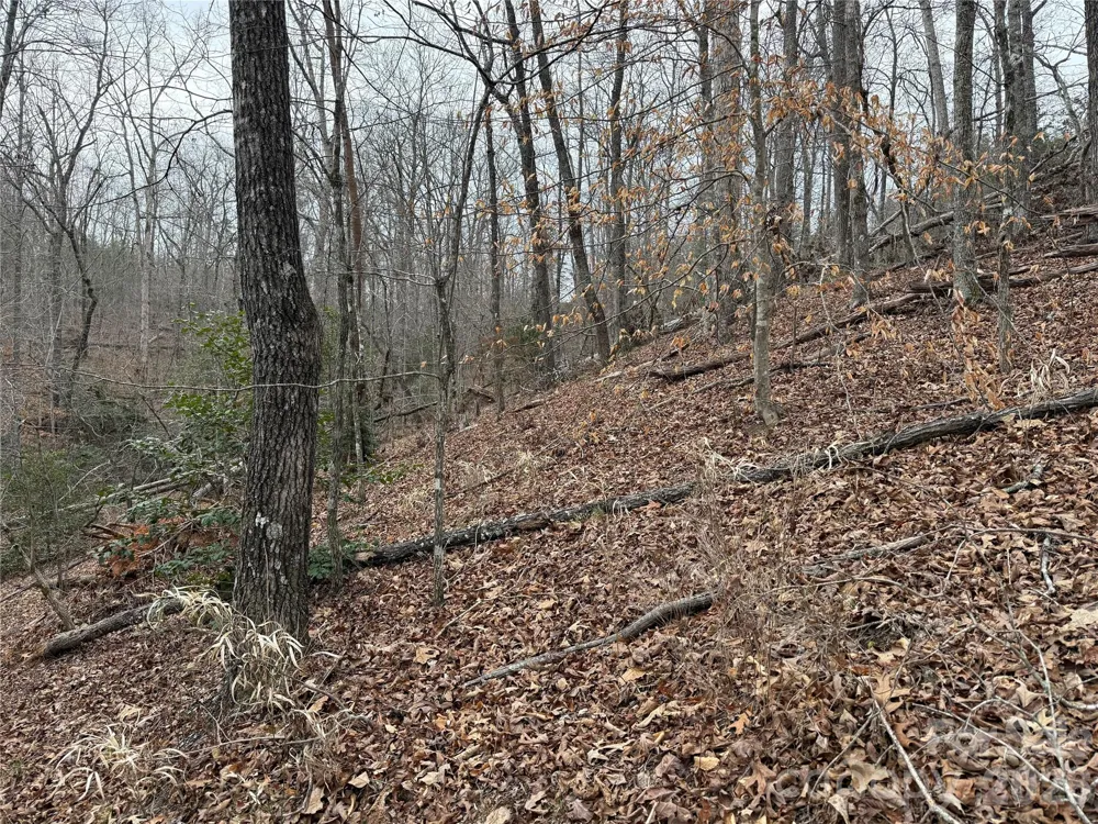 0 Shady Bark Lane #40 Rutherfordton, NC 28139