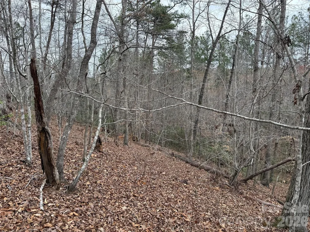 0 Shady Bark Lane #40 Rutherfordton, NC 28139