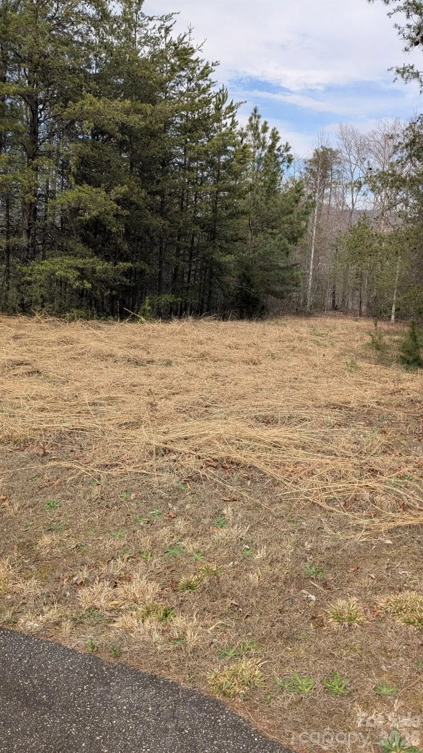 0 Shady Bark Lane #40 Rutherfordton, NC 28139