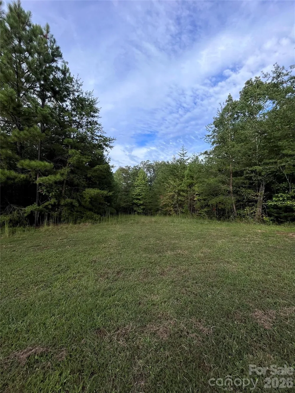 0 Shady Bark Lane #40 Rutherfordton, NC 28139