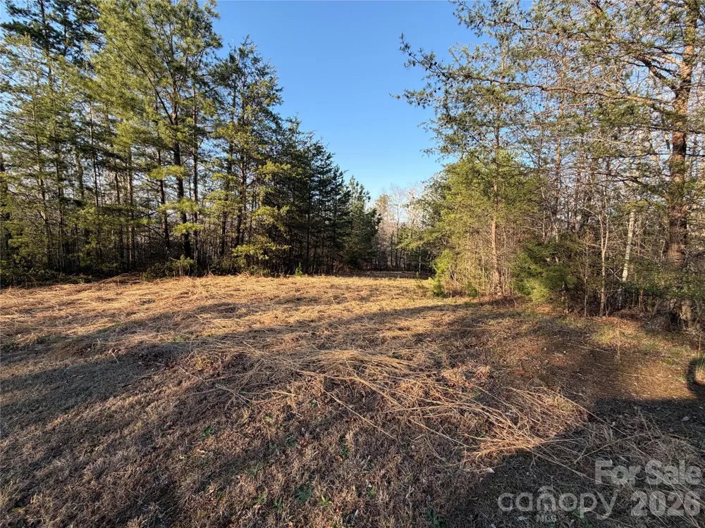 0 Shady Bark Lane #40 Rutherfordton, NC 28139