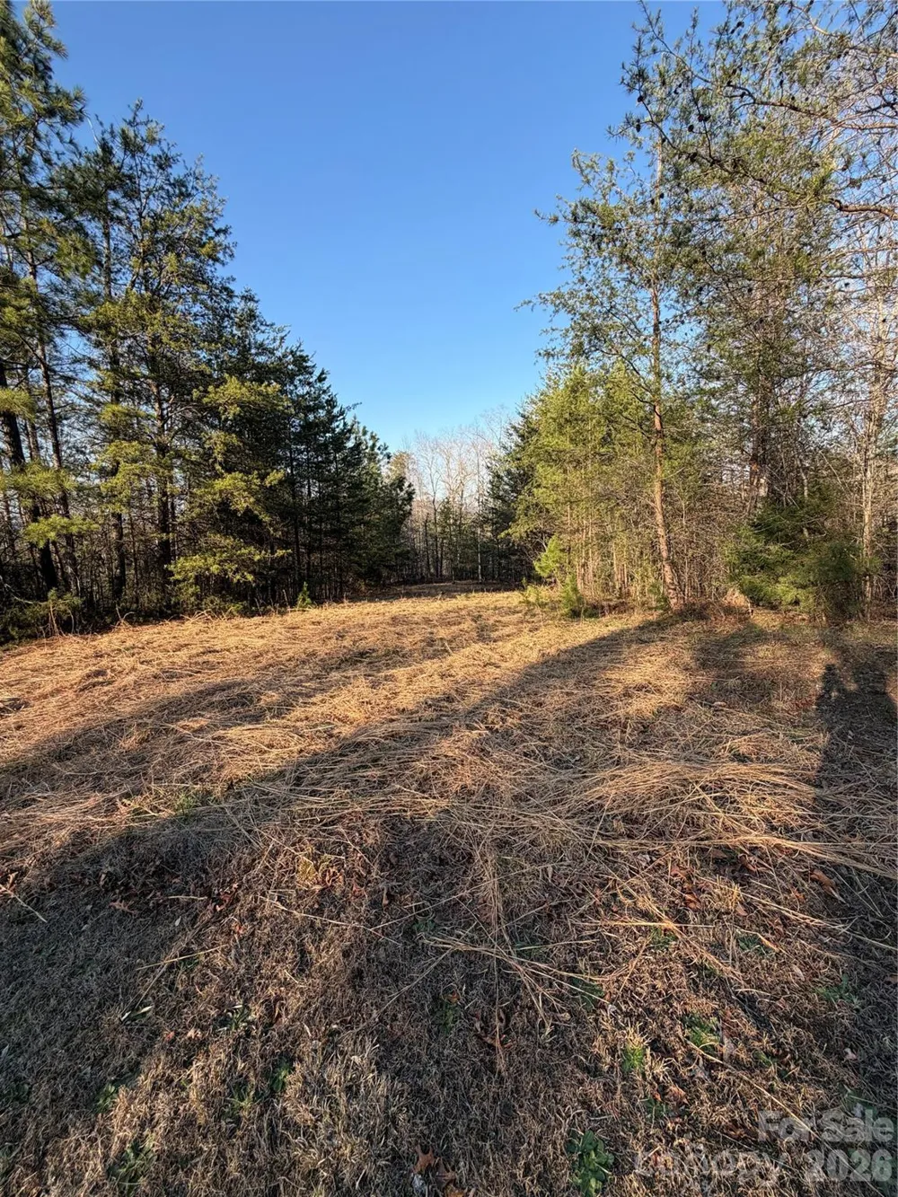 0 Shady Bark Lane #40 Rutherfordton, NC 28139