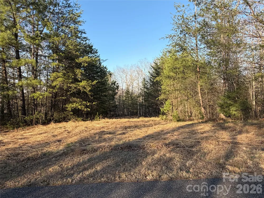 0 Shady Bark Lane #40 Rutherfordton, NC 28139