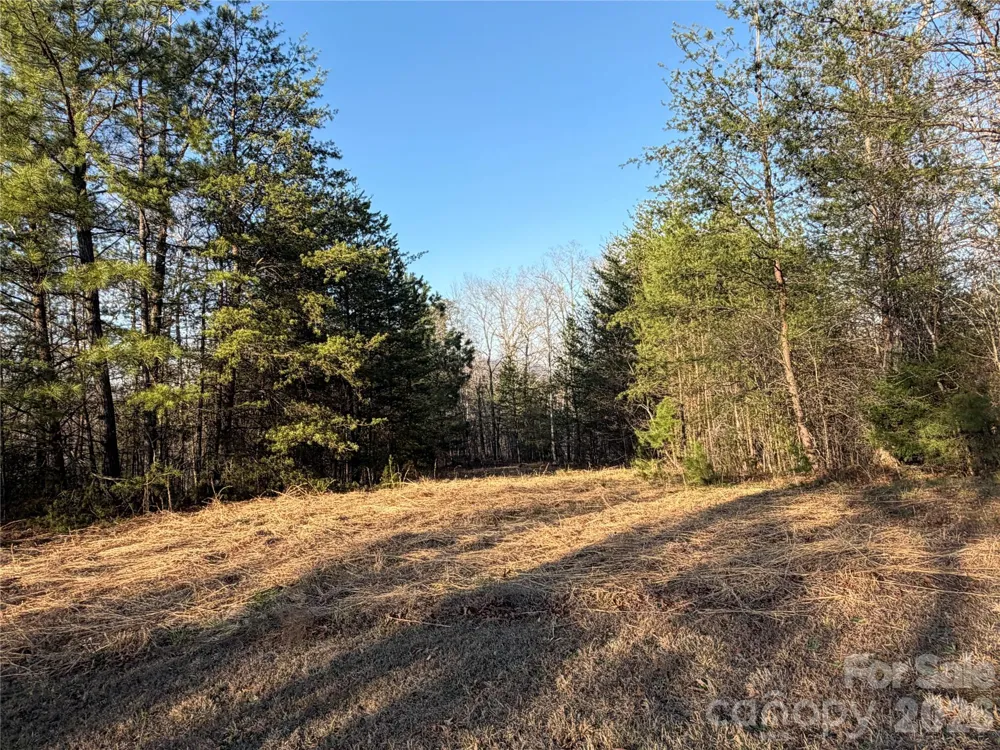 0 Shady Bark Lane #40 Rutherfordton, NC 28139