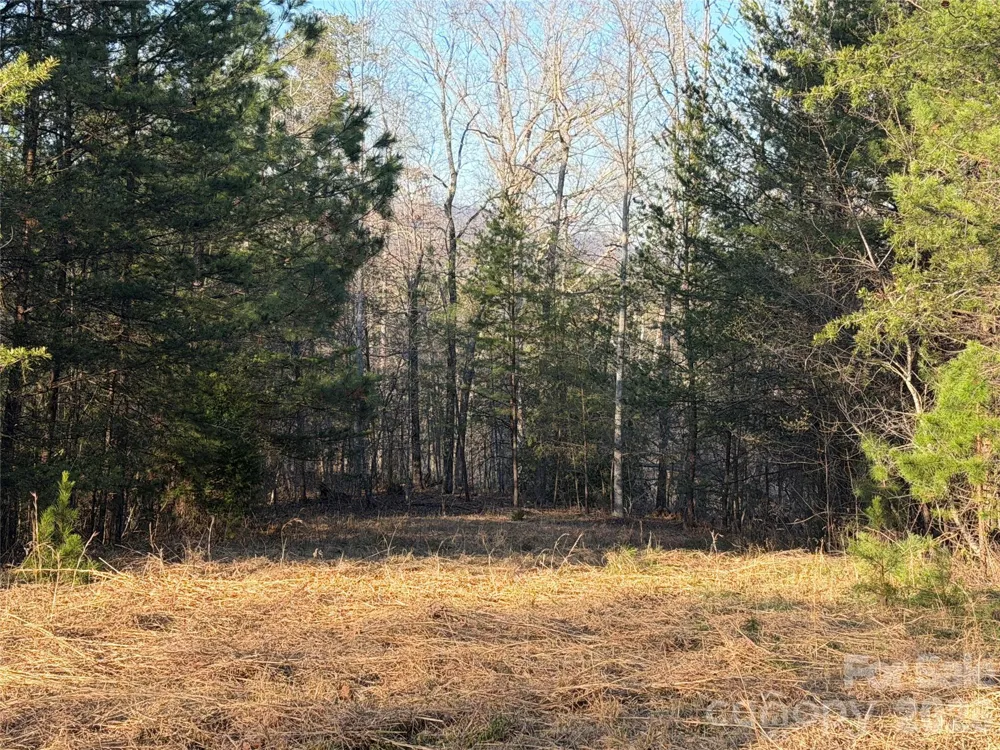 0 Shady Bark Lane #40 Rutherfordton, NC 28139