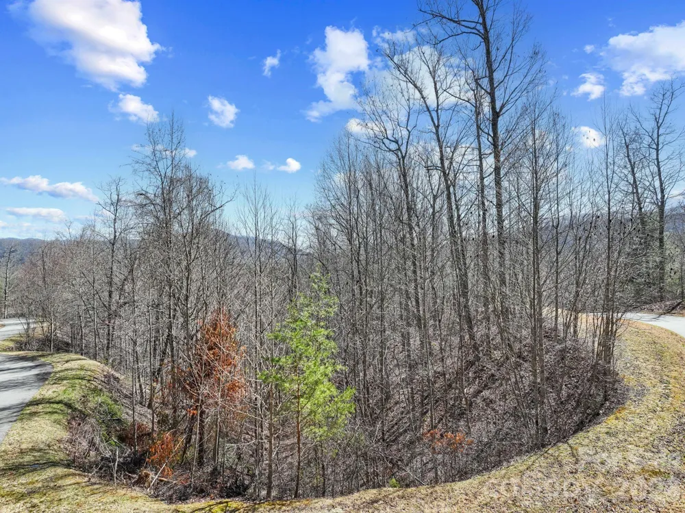 141 Sanctuary Way #13 Marshall, NC 28753