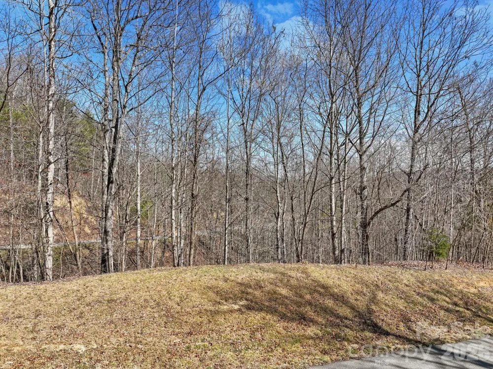 141 Sanctuary Way #13 Marshall, NC 28753