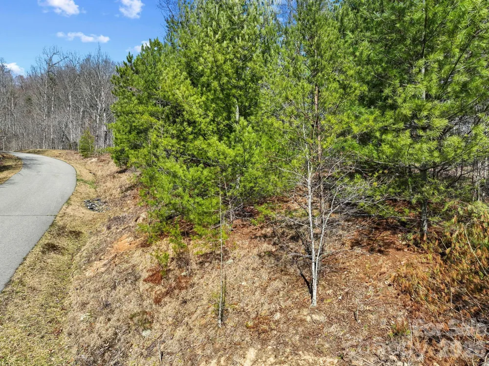 141 Sanctuary Way #13 Marshall, NC 28753