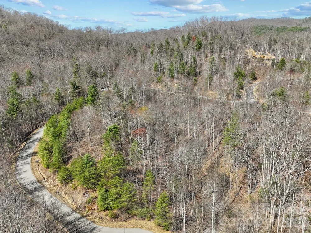 141 Sanctuary Way #13 Marshall, NC 28753
