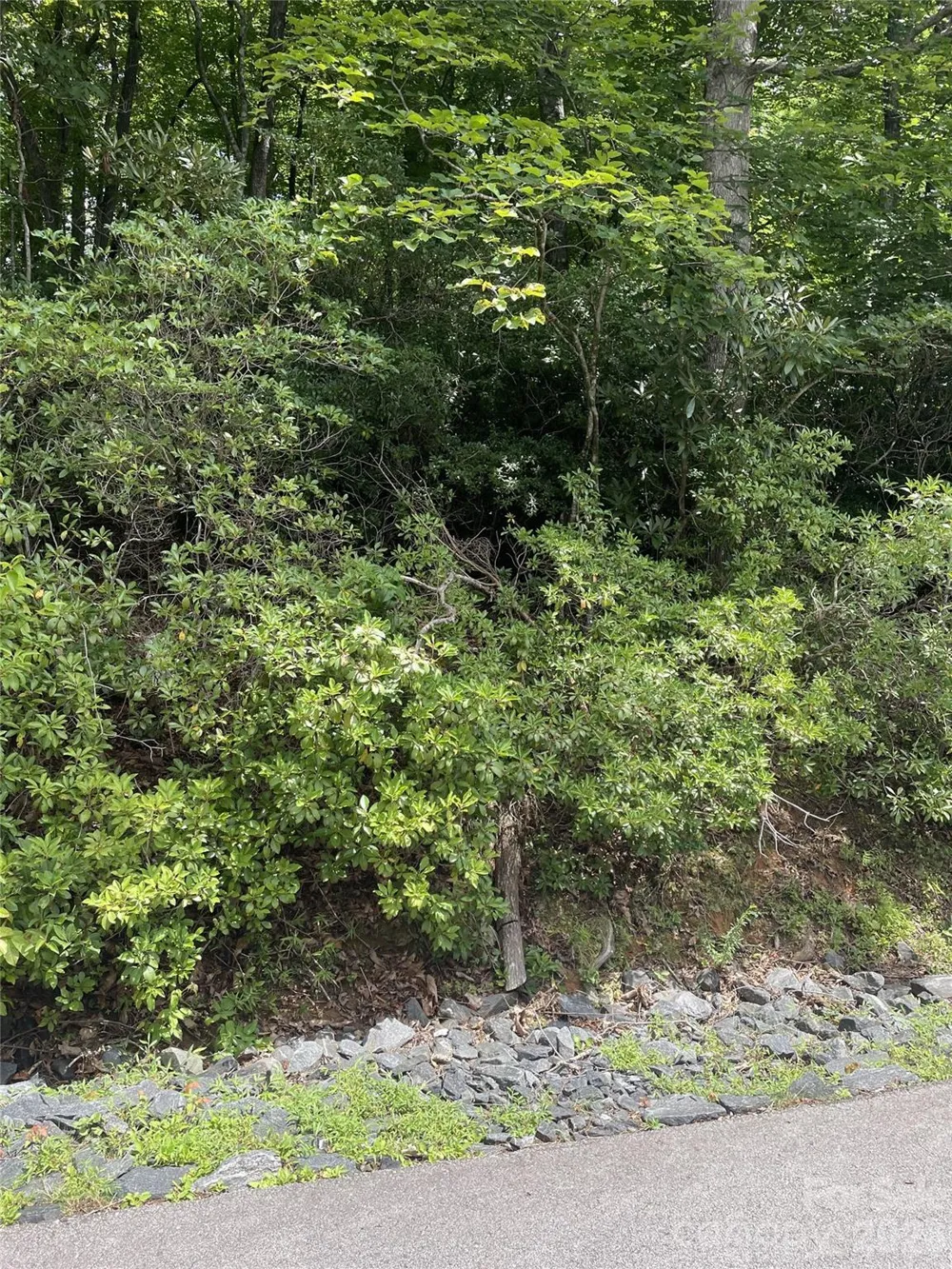00 Winterstar Loop #17 Burnsville, NC 28714