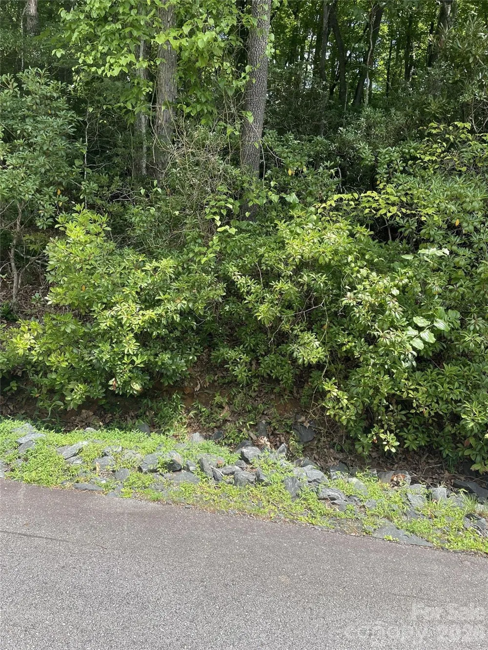 00 Winterstar Loop #17 Burnsville, NC 28714