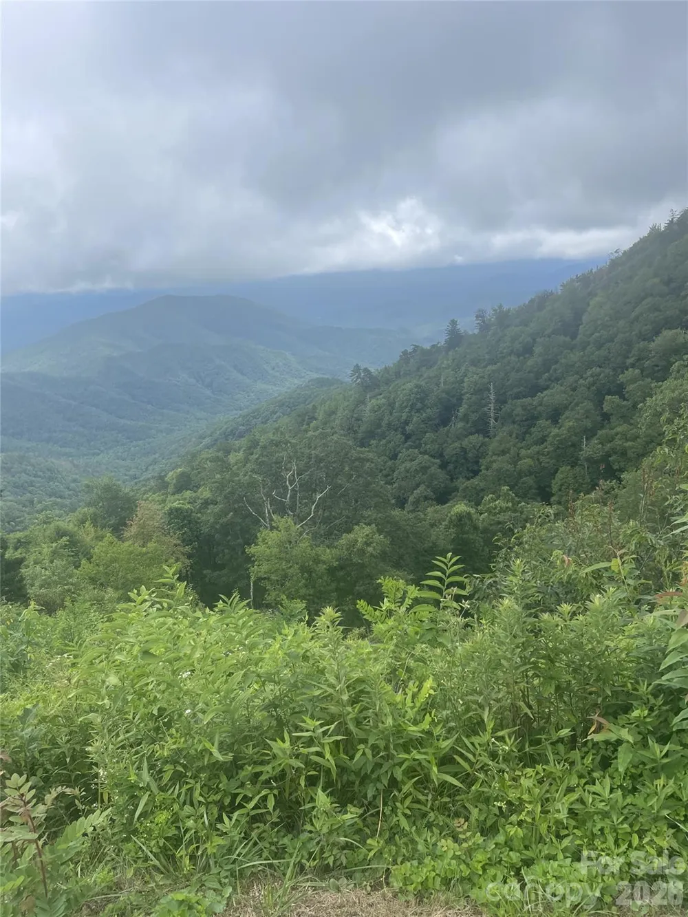 00 Winterstar Loop #17 Burnsville, NC 28714