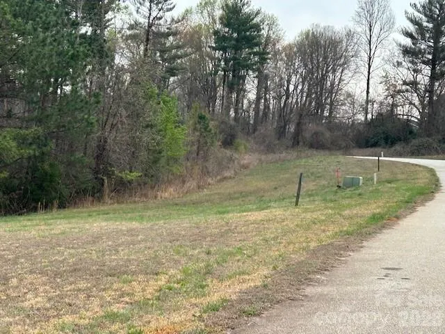 0 Palms Way Forest City, NC 28043