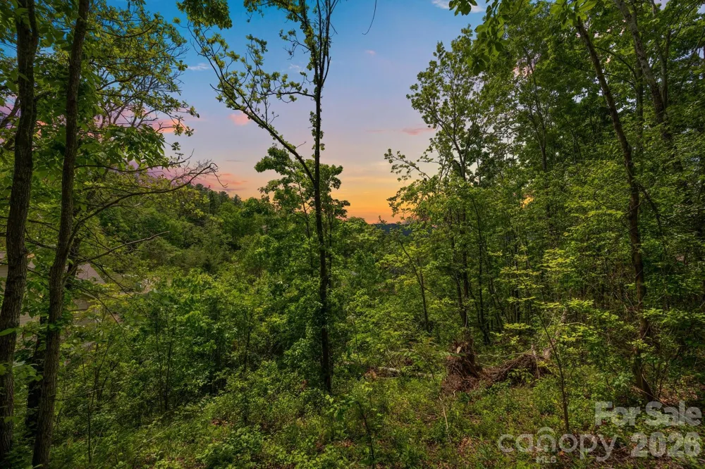 46 Hawtree Court #255 Weaverville, NC 28787