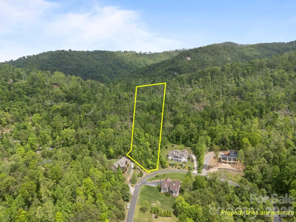 46 Hawtree Court #255 Weaverville, NC 28787