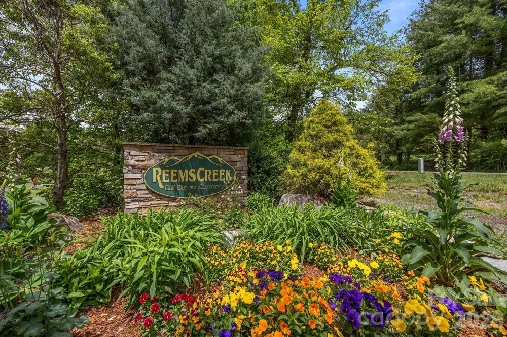 46 Hawtree Court #255 Weaverville, NC 28787