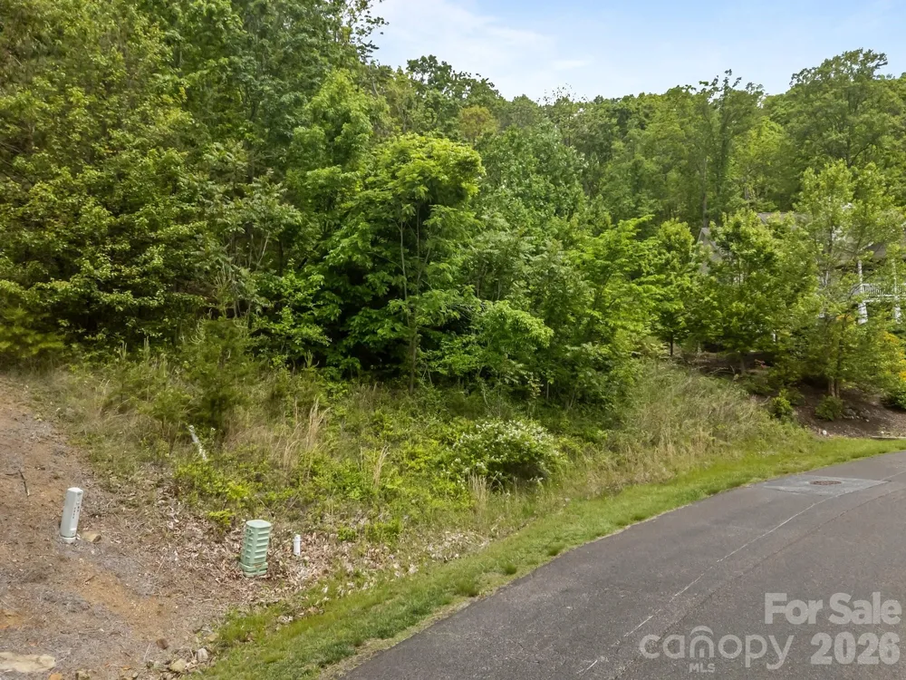 46 Hawtree Court #255 Weaverville, NC 28787