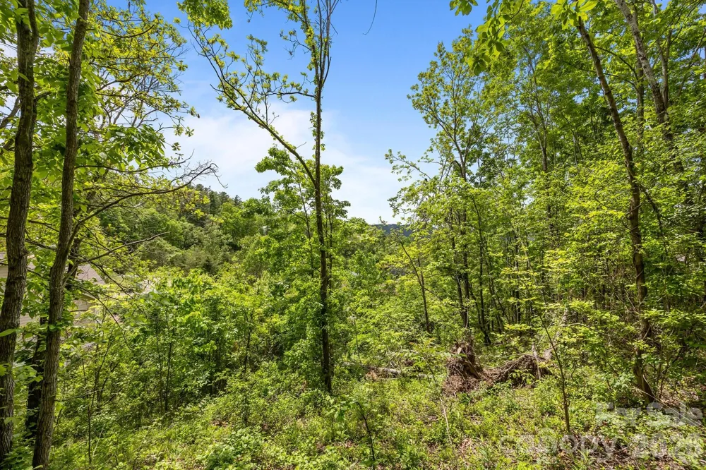 46 Hawtree Court #255 Weaverville, NC 28787