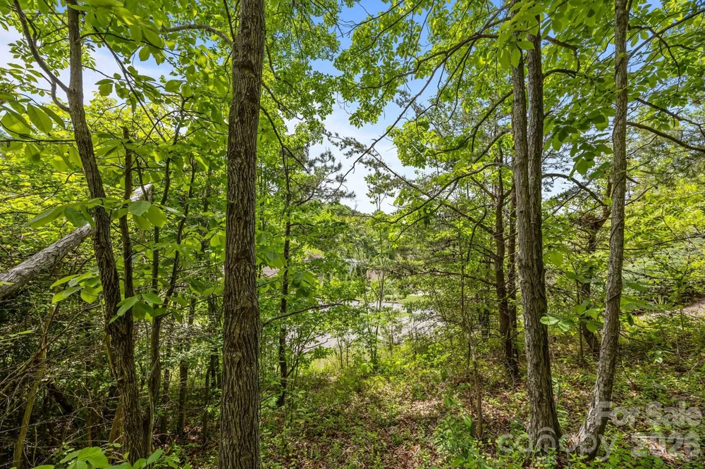 46 Hawtree Court #255 Weaverville, NC 28787