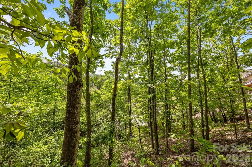 46 Hawtree Court #255 Weaverville, NC 28787