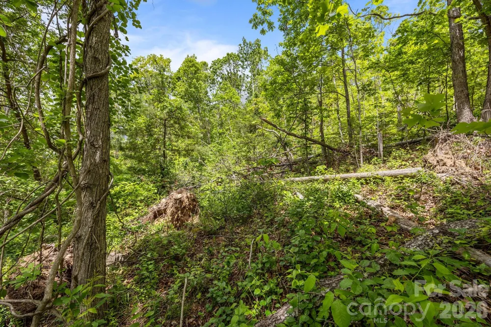 46 Hawtree Court #255 Weaverville, NC 28787