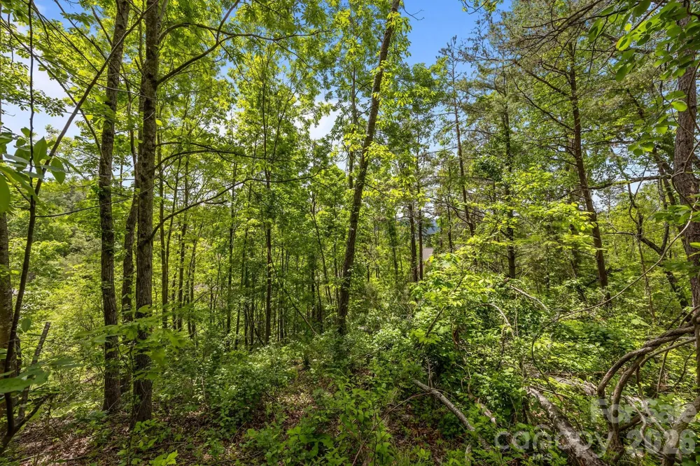 46 Hawtree Court #255 Weaverville, NC 28787