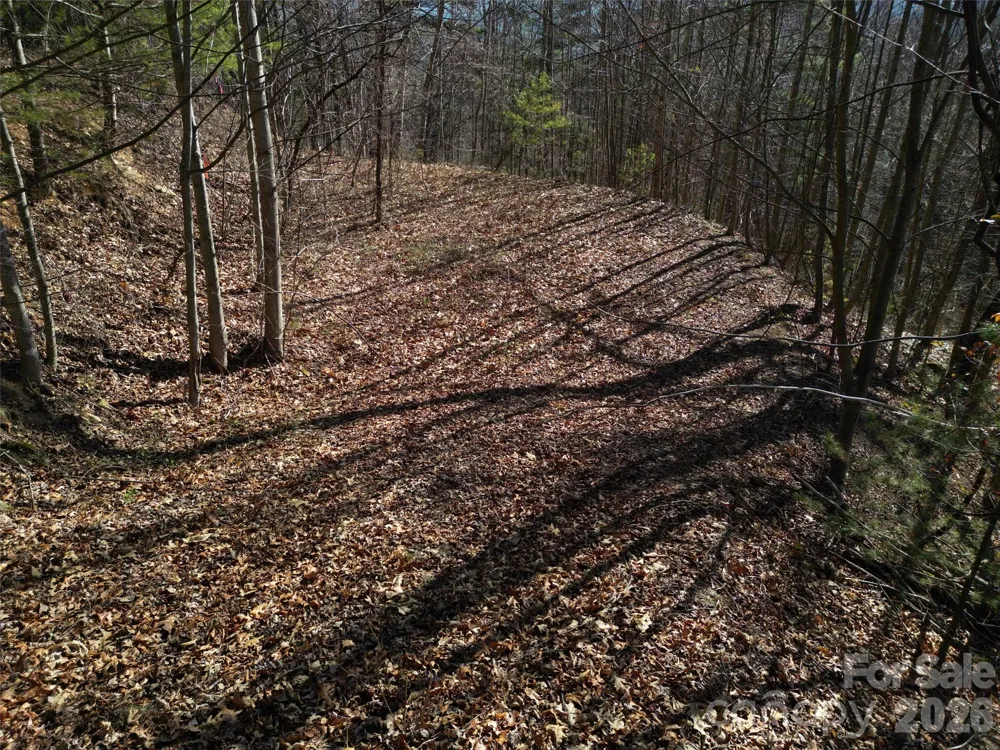 1165 Scenic Circle Waynesville, NC 28786